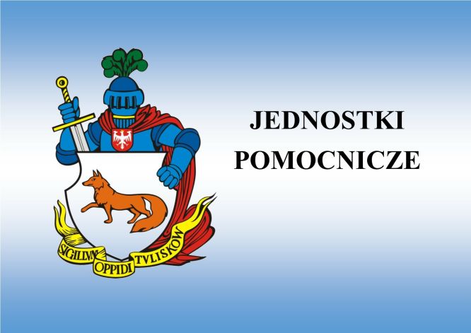 Jednostki pomocnicze