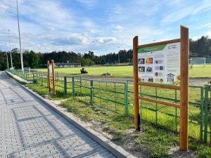 Zielono-niebieska infrastruktura (5)