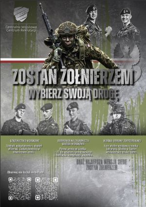 Plakat DZSW,TSW,Szkoły