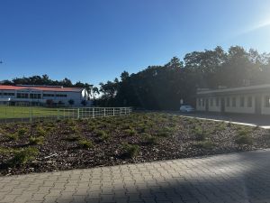 IMG_1127