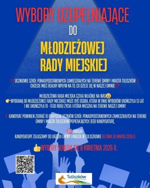 Wybory uzupełniające