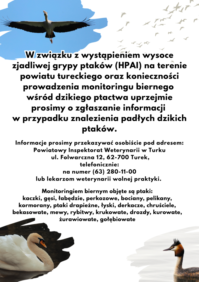 Informacja Powiatowego Lekarza Weterynarii w Turku