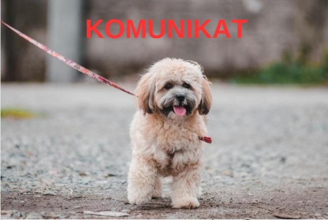 Komunikat dla właścicieli i opiekunów psów.